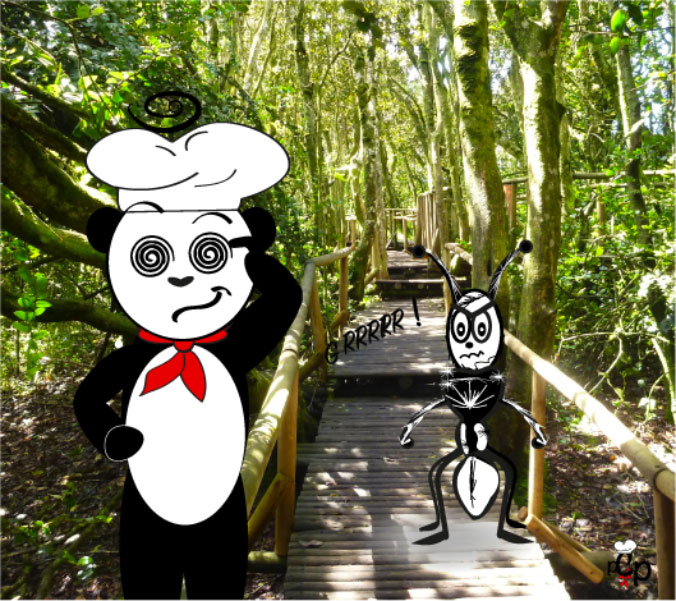 THE PANDA ANT??? – Petit Chef Panda